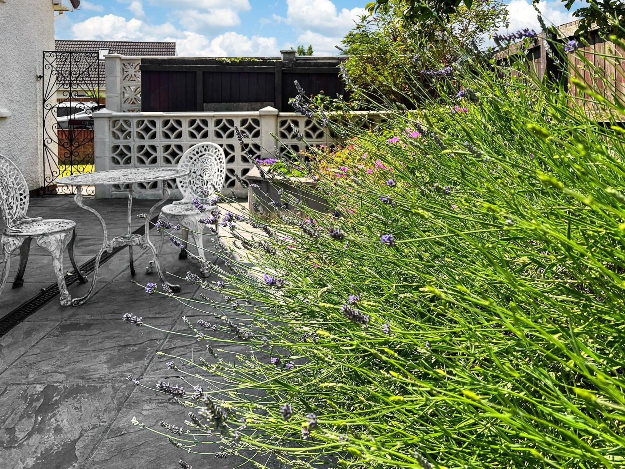 Cwtch Cottage كارديف المظهر الخارجي الصورة