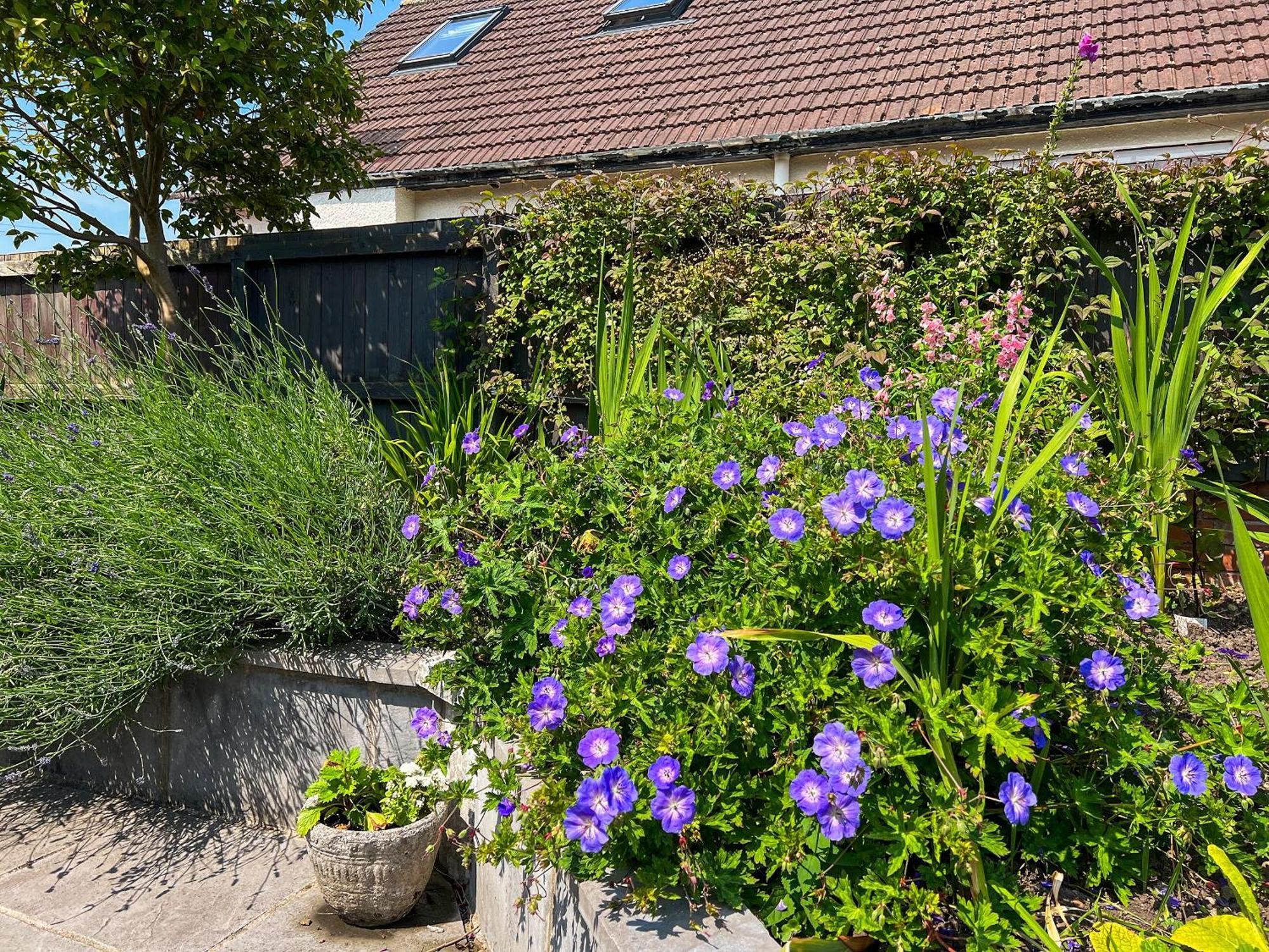 Cwtch Cottage كارديف المظهر الخارجي الصورة